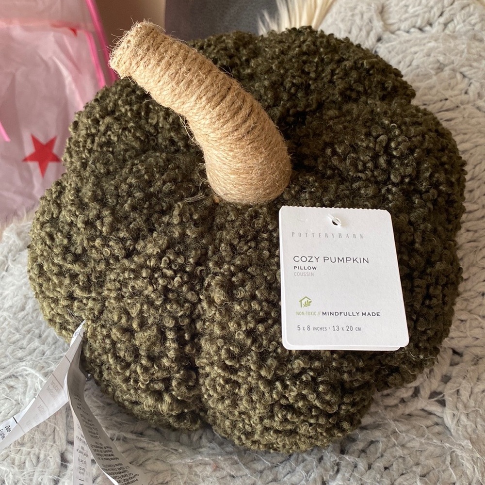 Pottery Barn cozy pumpkin loden pillow, NWT. Adorable and sold out!!!!